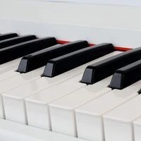 画像784