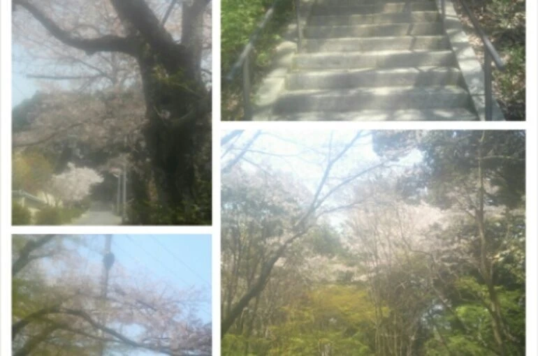 wpid-photogrid_1397048286892